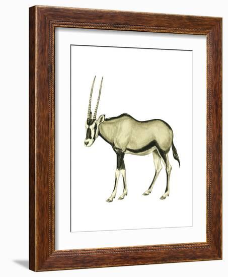 Oryx (Oryx Gazella), Mammals-Encyclopaedia Britannica-Framed Art Print