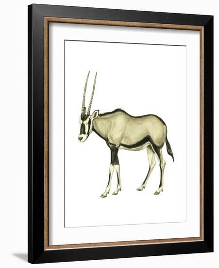 Oryx (Oryx Gazella), Mammals-Encyclopaedia Britannica-Framed Art Print