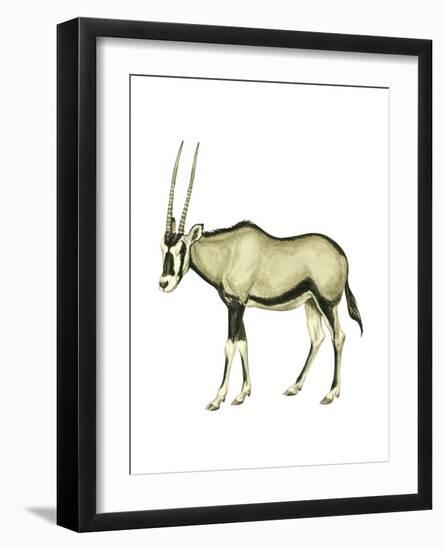 Oryx (Oryx Gazella), Mammals-Encyclopaedia Britannica-Framed Art Print