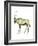 Oryx (Oryx Gazella), Mammals-Encyclopaedia Britannica-Framed Art Print