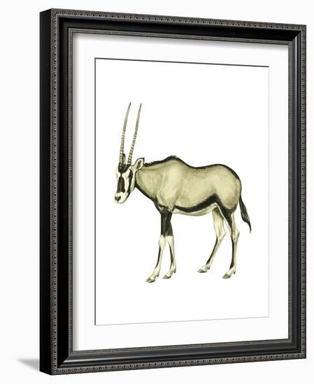 Oryx (Oryx Gazella), Mammals-Encyclopaedia Britannica-Framed Art Print