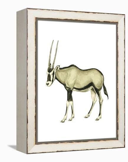 Oryx (Oryx Gazella), Mammals-Encyclopaedia Britannica-Framed Stretched Canvas