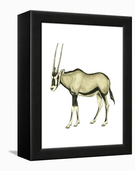 Oryx (Oryx Gazella), Mammals-Encyclopaedia Britannica-Framed Stretched Canvas