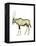 Oryx (Oryx Gazella), Mammals-Encyclopaedia Britannica-Framed Stretched Canvas