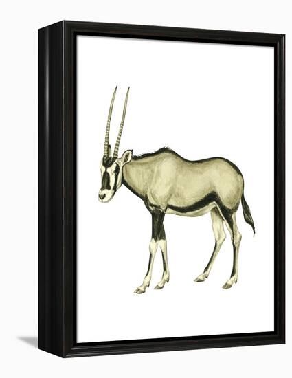 Oryx (Oryx Gazella), Mammals-Encyclopaedia Britannica-Framed Stretched Canvas