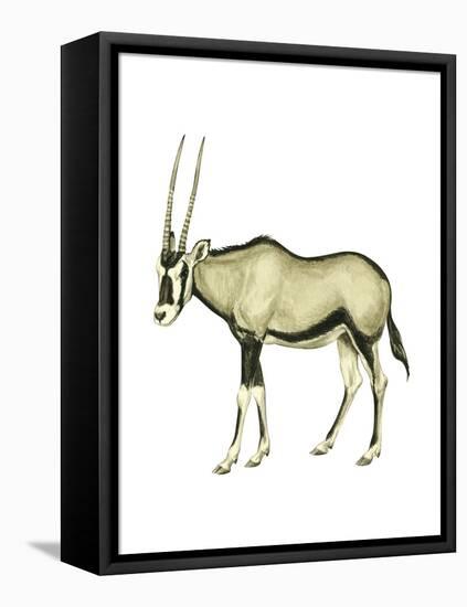 Oryx (Oryx Gazella), Mammals-Encyclopaedia Britannica-Framed Stretched Canvas