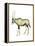 Oryx (Oryx Gazella), Mammals-Encyclopaedia Britannica-Framed Stretched Canvas