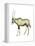 Oryx (Oryx Gazella), Mammals-Encyclopaedia Britannica-Framed Stretched Canvas