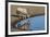 Oryx reflection in waterhole, Etosha National Park-Darrell Gulin-Framed Photographic Print