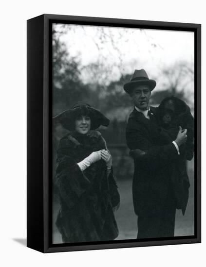 Osa and Martin Johnson with an Orangutan and Gibbon, London Zoo, October 1920-Frederick William Bond-Framed Premier Image Canvas