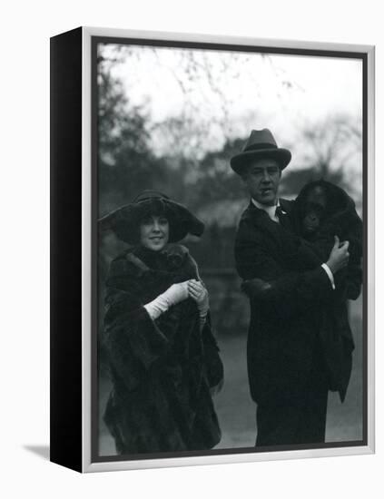 Osa and Martin Johnson with an Orangutan and Gibbon, London Zoo, October 1920-Frederick William Bond-Framed Premier Image Canvas