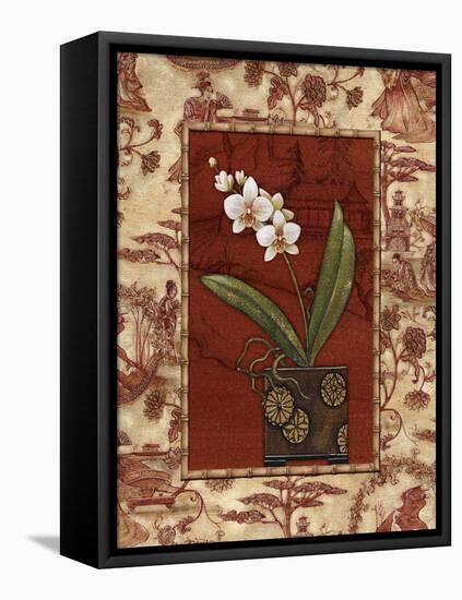 Osaca Floral II-Charlene Audrey-Framed Stretched Canvas