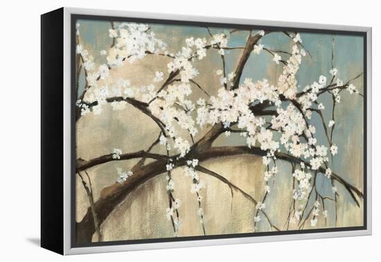 Osaka-Andrew Michaels-Framed Stretched Canvas