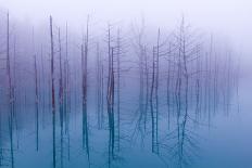 Misty Blue Pond-Osamu Asami-Framed Photographic Print