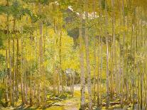 Aspen Forest-Oscar Berninghouse-Stretched Canvas