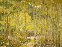 Aspen Forest-Oscar Berninghouse-Framed Art Print