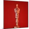 Oscar Statuette at Academy Awards Theater, Hollywood-Bill Eppridge-Mounted Photographic Print