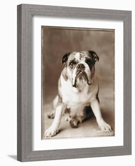 Oscar-Rachael Hale-Framed Art Print