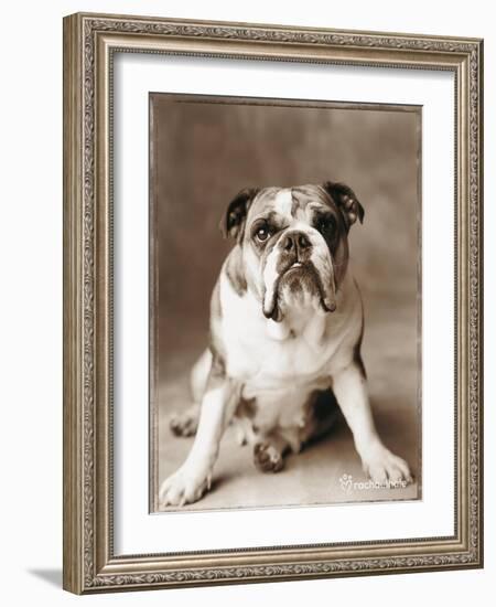 Oscar-Rachael Hale-Framed Photographic Print