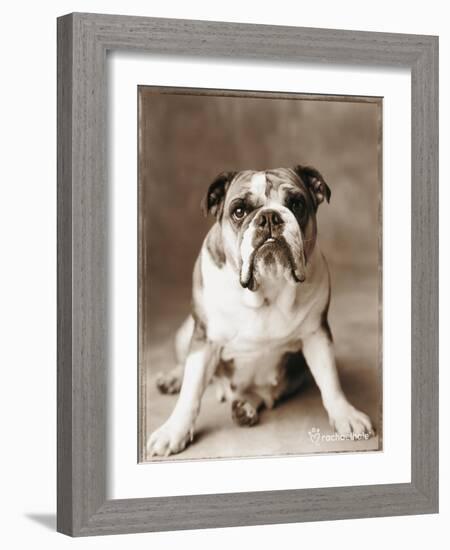 Oscar-Rachael Hale-Framed Photographic Print