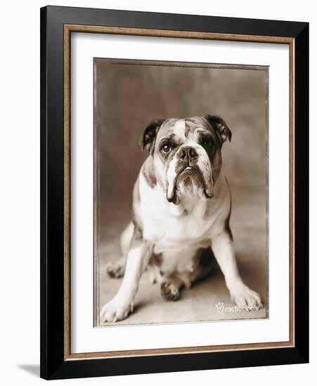 Oscar-Rachael Hale-Framed Photographic Print