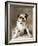 Oscar-Rachael Hale-Framed Photographic Print