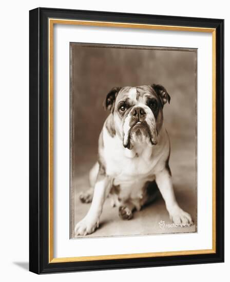 Oscar-Rachael Hale-Framed Photographic Print