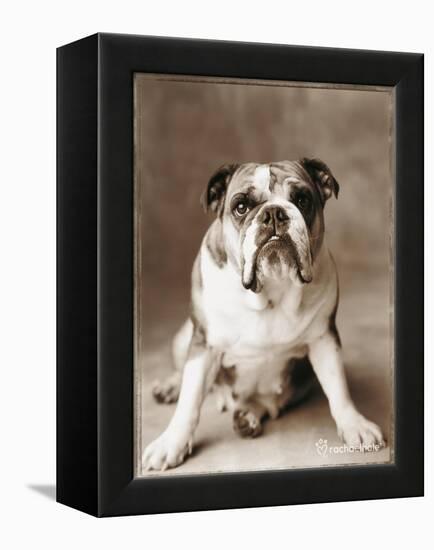 Oscar-Rachael Hale-Framed Premier Image Canvas