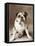 Oscar-Rachael Hale-Framed Premier Image Canvas