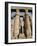 Osiris Statues and Colonnade, Luxor Temple, Thebes, Unesco World Heritage Site, Egypt-Nico Tondini-Framed Photographic Print