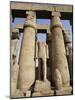 Osiris Statues and Colonnade, Luxor Temple, Thebes, Unesco World Heritage Site, Egypt-Nico Tondini-Mounted Photographic Print