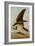 Osprey and Weakfish, 1829-John James Audubon-Framed Giclee Print