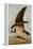 Osprey and Weakfish, 1829-John James Audubon-Framed Premier Image Canvas