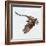 Osprey At Stick Marsh-Wink Gaines-Framed Giclee Print