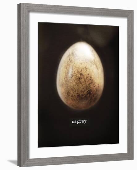 Osprey Egg-Chris Dunker-Framed Giclee Print