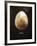 Osprey Egg-Chris Dunker-Framed Giclee Print