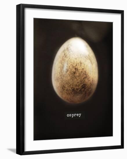 Osprey Egg-Chris Dunker-Framed Giclee Print