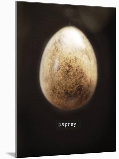 Osprey Egg-Chris Dunker-Mounted Giclee Print