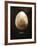 Osprey Egg-Chris Dunker-Framed Giclee Print