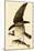 Osprey in Flight-John James Audubon-Mounted Giclee Print