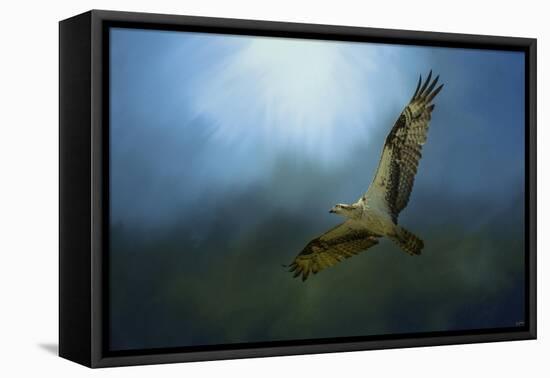 Osprey in the Evening Light-Jai Johnson-Framed Premier Image Canvas