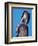 Osprey on Post with Fish-Charles Sleicher-Framed Photographic Print