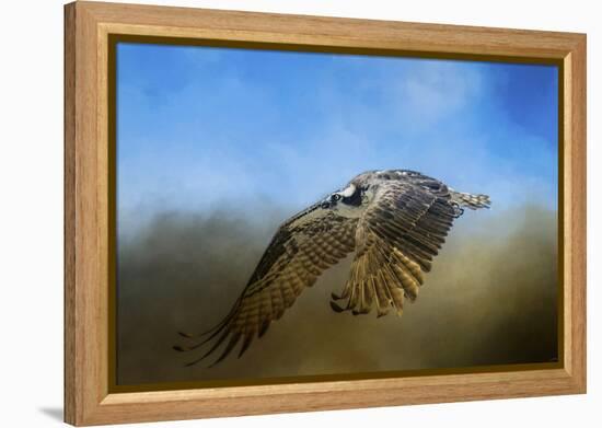 Osprey over Pickwick-Jai Johnson-Framed Premier Image Canvas