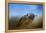 Osprey over Pickwick-Jai Johnson-Framed Premier Image Canvas