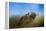Osprey over Pickwick-Jai Johnson-Framed Premier Image Canvas