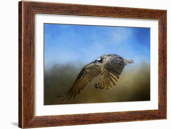 Osprey over Pickwick-Jai Johnson-Framed Giclee Print