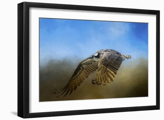 Osprey over Pickwick-Jai Johnson-Framed Giclee Print