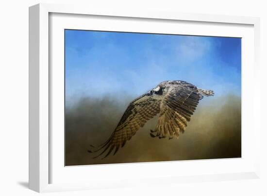 Osprey over Pickwick-Jai Johnson-Framed Giclee Print