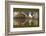 Osprey (Pandion Haliaetus) At Surface Of A Loch After Diving For A Fish-Peter Cairns-Framed Photographic Print