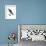 Osprey (Pandion Haliaetus), Fish Hawk, Birds-Encyclopaedia Britannica-Framed Art Print displayed on a wall